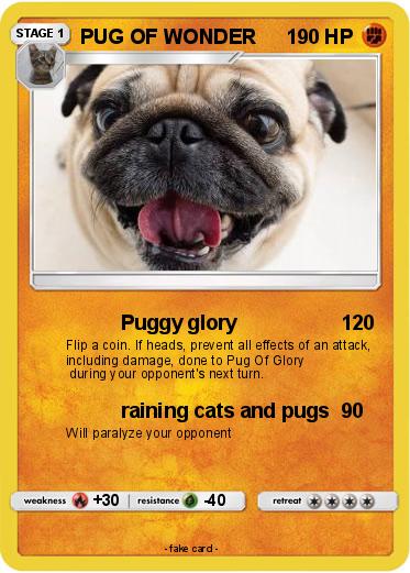 Pokemon PUG OF WONDER