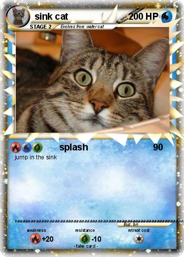 Pokemon sink cat
