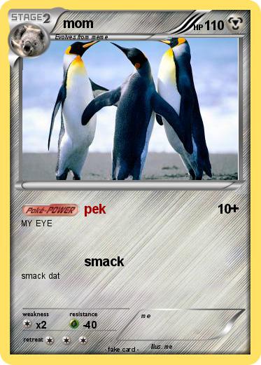 Pokemon mom
