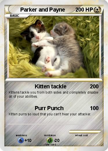 Pokemon Parker and Payne