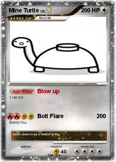 Pokemon Mine Turtle