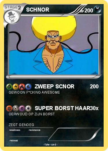 Pokemon SCHNOR