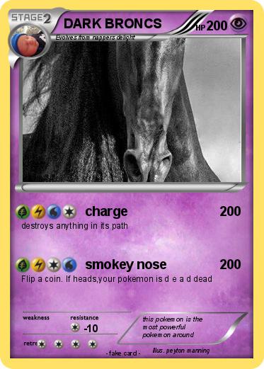 Pokemon DARK BRONCS