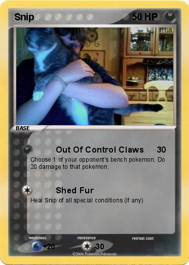Pokemon Snip
