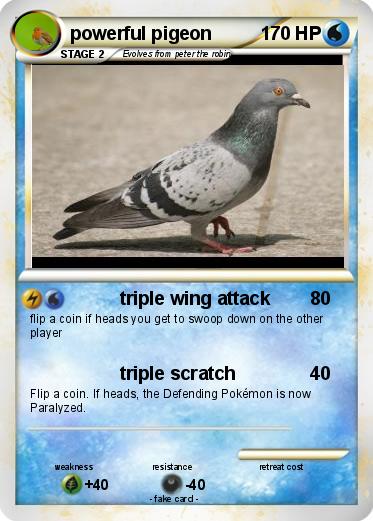 Pokemon powerful pigeon
