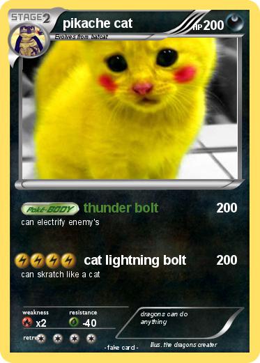Pokemon pikache cat