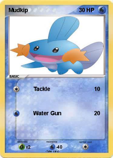 Pokemon Mudkip