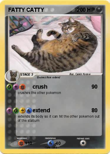 Pokemon FATTY CATTY