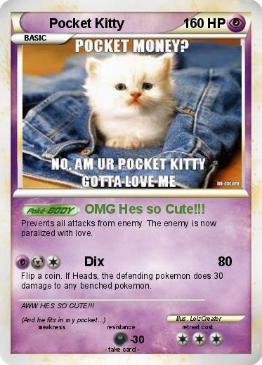 Pokemon Pocket Kitty
