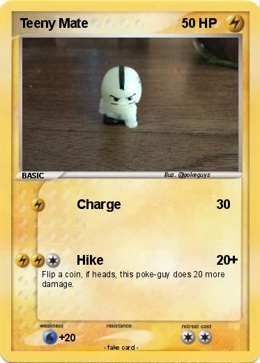 Pokemon Teeny Mate