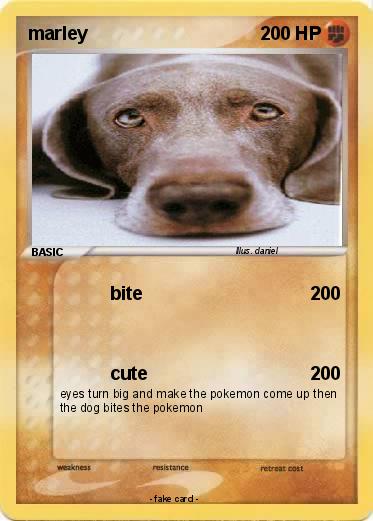 Pokemon marley