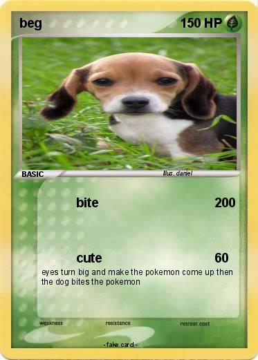 Pokemon beg