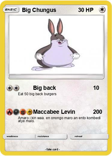 Pokemon Big Chungus