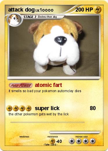 Pokemon attack dog