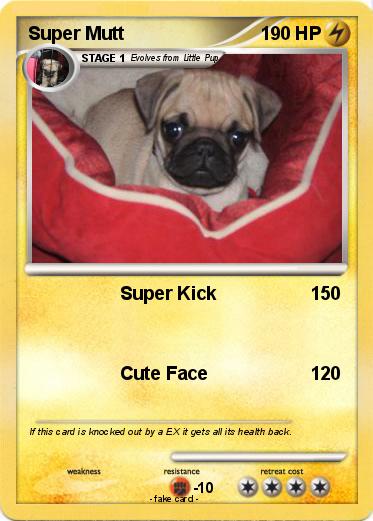 Pokemon Super Mutt