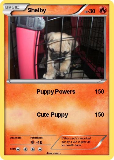 Pokemon Shelby