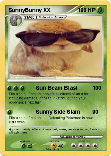 Pokemon SunnyBunny XX