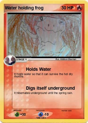 Pokemon Water holding frog