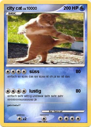 Pokemon city cat