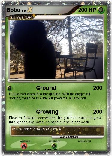 Pokemon Bobo