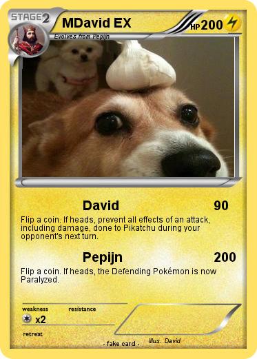 Pokemon MDavid EX