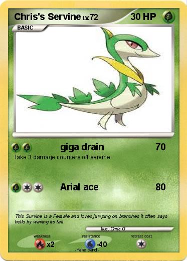 Pokemon Chris's Servine