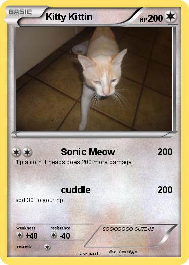 Pokemon Kitty Kittin