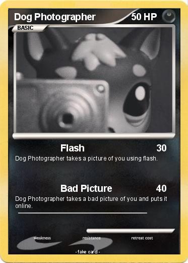 Pokemon Dog Photographer