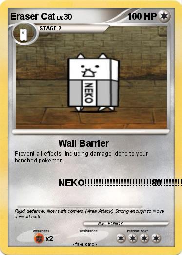 Pokemon Eraser Cat