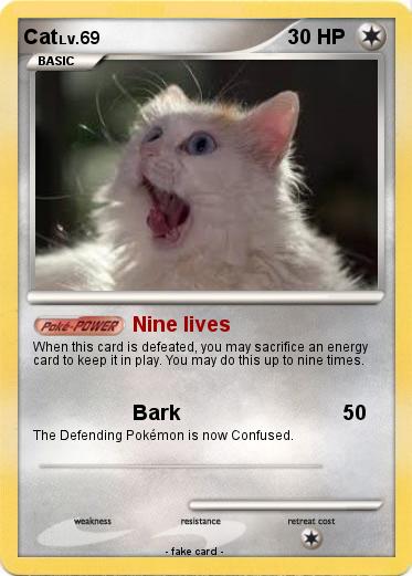 Pokemon Cat