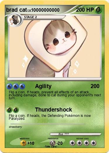 Pokemon brad cat Pokemon brad cat