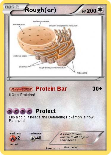 Pokemon Rough(er)