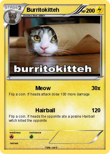 Pokemon Burritokitteh