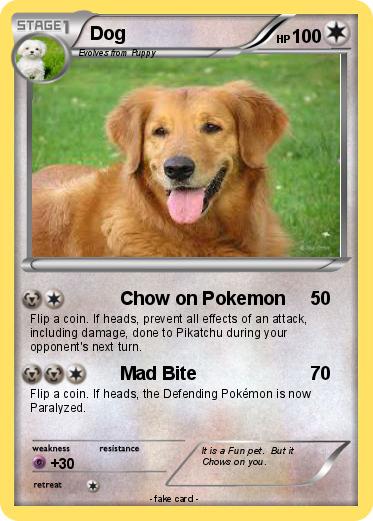 Pokemon Dog