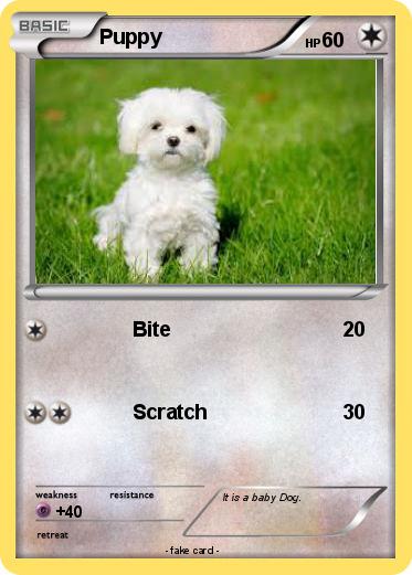 Pokemon Puppy