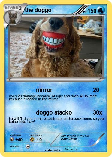 Pokemon the doggo