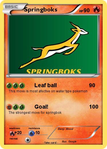 Pokemon Springboks