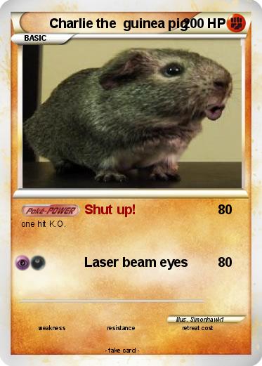 Pokemon Charlie the  guinea pig