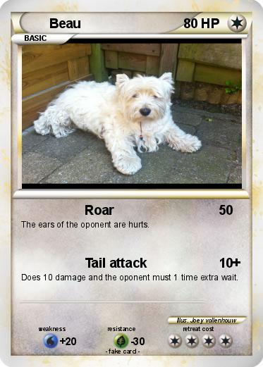 Pokemon Beau