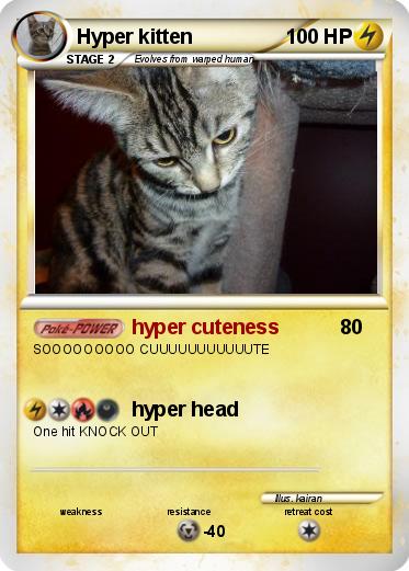 Pokemon Hyper kitten