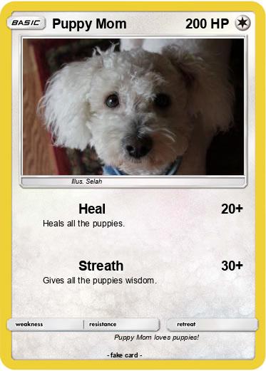 Pokemon Puppy Mom
