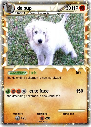 Pokemon de pup