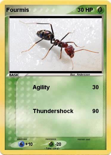 Pokemon Fourmis