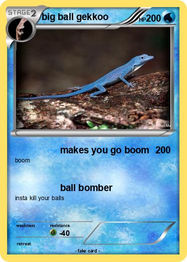 Pokemon big ball gekkoo