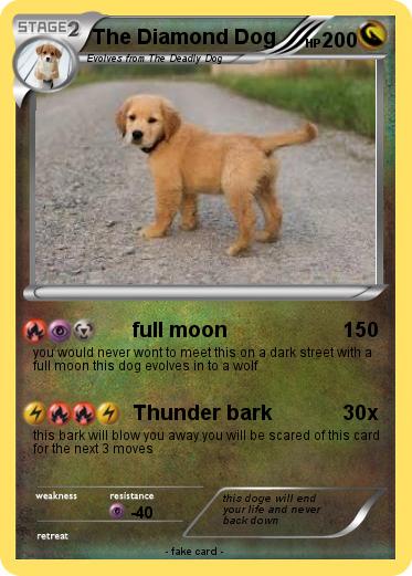 Pokemon The Diamond Dog