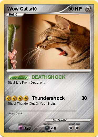 Pokemon Wow Cat