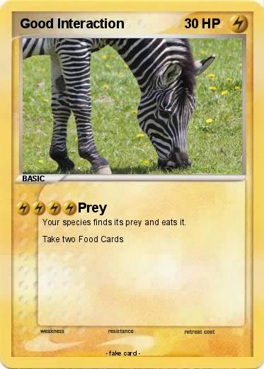 Pokemon Good Interaction