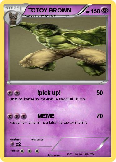 Pokemon TOTOY BROWN