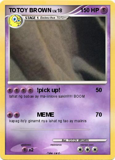 Pokemon TOTOY BROWN