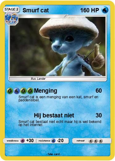 Pokemon Smurf cat